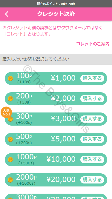 「ノーマル」クラス時のクレジット決済のポイント料金表 「ノーマル」クラス時のクレジット決済のポイント料金表
