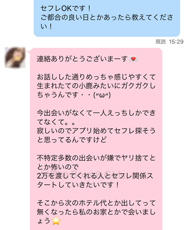 ハッピーメールで遭遇した業者が送ってきたメッセージ内容②